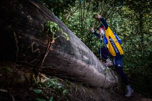 BIB: 
                            <button type="button" onclick="openModal(13519810)" class="btn btn-primary btn-sm float-right btn-popup" data-toggle="modal" data-target=".modal-high-quality">
                        <i class="fas fa-shopping-cart"></i> Add to Cart
                    </button>
                                            <button type="button" onclick="isThisMe(13519810, true)" class="btn btn-success btn-sm float-right btn-popup btn-isme hidden" data-toggle="tooltip" data-placement="bottom" title="นี่คือรูปของคุณใช่ไหม คลิกที่นี่เพื่อเอาเข้าอัลบั้ม">
                        <i class="fas fa-plus"></i> Add to album
                    </button>
                    <button type="button" onclick="isThisMe(13519810, false)" class="btn btn-warning btn-sm float-right btn-popup btn-isnotme hidden">
                        <i class="fas fa-ban"></i> Remove from album
                    </button>