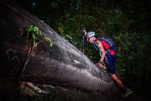 BIB: 
                            <button type="button" onclick="openModal(13519204)" class="btn btn-primary btn-sm float-right btn-popup" data-toggle="modal" data-target=".modal-high-quality">
                        <i class="fas fa-shopping-cart"></i> Add to Cart
                    </button>
                                            <button type="button" onclick="isThisMe(13519204, true)" class="btn btn-success btn-sm float-right btn-popup btn-isme hidden" data-toggle="tooltip" data-placement="bottom" title="นี่คือรูปของคุณใช่ไหม คลิกที่นี่เพื่อเอาเข้าอัลบั้ม">
                        <i class="fas fa-plus"></i> Add to album
                    </button>
                    <button type="button" onclick="isThisMe(13519204, false)" class="btn btn-warning btn-sm float-right btn-popup btn-isnotme hidden">
                        <i class="fas fa-ban"></i> Remove from album
                    </button>