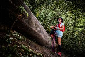 BIB: 
                            <button type="button" onclick="openModal(13524084)" class="btn btn-primary btn-sm float-right btn-popup" data-toggle="modal" data-target=".modal-high-quality">
                        <i class="fas fa-shopping-cart"></i> Add to Cart
                    </button>
                                            <button type="button" onclick="isThisMe(13524084, true)" class="btn btn-success btn-sm float-right btn-popup btn-isme hidden" data-toggle="tooltip" data-placement="bottom" title="นี่คือรูปของคุณใช่ไหม คลิกที่นี่เพื่อเอาเข้าอัลบั้ม">
                        <i class="fas fa-plus"></i> Add to album
                    </button>
                    <button type="button" onclick="isThisMe(13524084, false)" class="btn btn-warning btn-sm float-right btn-popup btn-isnotme hidden">
                        <i class="fas fa-ban"></i> Remove from album
                    </button>