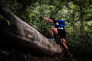 BIB: 
                            <button type="button" onclick="openModal(13525678)" class="btn btn-primary btn-sm float-right btn-popup" data-toggle="modal" data-target=".modal-high-quality">
                        <i class="fas fa-shopping-cart"></i> Add to Cart
                    </button>
                                            <button type="button" onclick="isThisMe(13525678, true)" class="btn btn-success btn-sm float-right btn-popup btn-isme hidden" data-toggle="tooltip" data-placement="bottom" title="นี่คือรูปของคุณใช่ไหม คลิกที่นี่เพื่อเอาเข้าอัลบั้ม">
                        <i class="fas fa-plus"></i> Add to album
                    </button>
                    <button type="button" onclick="isThisMe(13525678, false)" class="btn btn-warning btn-sm float-right btn-popup btn-isnotme hidden">
                        <i class="fas fa-ban"></i> Remove from album
                    </button>