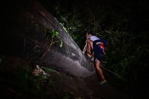 BIB: 
                            <button type="button" onclick="openModal(13518478)" class="btn btn-primary btn-sm float-right btn-popup" data-toggle="modal" data-target=".modal-high-quality">
                        <i class="fas fa-shopping-cart"></i> Add to Cart
                    </button>
                                            <button type="button" onclick="isThisMe(13518478, true)" class="btn btn-success btn-sm float-right btn-popup btn-isme hidden" data-toggle="tooltip" data-placement="bottom" title="นี่คือรูปของคุณใช่ไหม คลิกที่นี่เพื่อเอาเข้าอัลบั้ม">
                        <i class="fas fa-plus"></i> Add to album
                    </button>
                    <button type="button" onclick="isThisMe(13518478, false)" class="btn btn-warning btn-sm float-right btn-popup btn-isnotme hidden">
                        <i class="fas fa-ban"></i> Remove from album
                    </button>