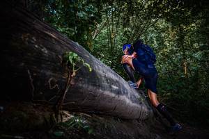 BIB: 
                            <button type="button" onclick="openModal(13519397)" class="btn btn-primary btn-sm float-right btn-popup" data-toggle="modal" data-target=".modal-high-quality">
                        <i class="fas fa-shopping-cart"></i> Add to Cart
                    </button>
                                            <button type="button" onclick="isThisMe(13519397, true)" class="btn btn-success btn-sm float-right btn-popup btn-isme hidden" data-toggle="tooltip" data-placement="bottom" title="นี่คือรูปของคุณใช่ไหม คลิกที่นี่เพื่อเอาเข้าอัลบั้ม">
                        <i class="fas fa-plus"></i> Add to album
                    </button>
                    <button type="button" onclick="isThisMe(13519397, false)" class="btn btn-warning btn-sm float-right btn-popup btn-isnotme hidden">
                        <i class="fas fa-ban"></i> Remove from album
                    </button>