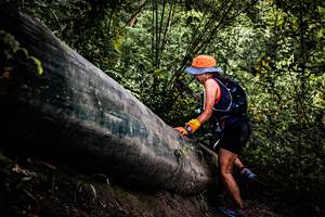 BIB: 
                            <button type="button" onclick="openModal(13525764)" class="btn btn-primary btn-sm float-right btn-popup" data-toggle="modal" data-target=".modal-high-quality">
                        <i class="fas fa-shopping-cart"></i> Add to Cart
                    </button>
                                            <button type="button" onclick="isThisMe(13525764, true)" class="btn btn-success btn-sm float-right btn-popup btn-isme hidden" data-toggle="tooltip" data-placement="bottom" title="นี่คือรูปของคุณใช่ไหม คลิกที่นี่เพื่อเอาเข้าอัลบั้ม">
                        <i class="fas fa-plus"></i> Add to album
                    </button>
                    <button type="button" onclick="isThisMe(13525764, false)" class="btn btn-warning btn-sm float-right btn-popup btn-isnotme hidden">
                        <i class="fas fa-ban"></i> Remove from album
                    </button>