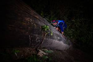 BIB: 
                            <button type="button" onclick="openModal(13517857)" class="btn btn-primary btn-sm float-right btn-popup" data-toggle="modal" data-target=".modal-high-quality">
                        <i class="fas fa-shopping-cart"></i> Add to Cart
                    </button>
                                            <button type="button" onclick="isThisMe(13517857, true)" class="btn btn-success btn-sm float-right btn-popup btn-isme hidden" data-toggle="tooltip" data-placement="bottom" title="นี่คือรูปของคุณใช่ไหม คลิกที่นี่เพื่อเอาเข้าอัลบั้ม">
                        <i class="fas fa-plus"></i> Add to album
                    </button>
                    <button type="button" onclick="isThisMe(13517857, false)" class="btn btn-warning btn-sm float-right btn-popup btn-isnotme hidden">
                        <i class="fas fa-ban"></i> Remove from album
                    </button>