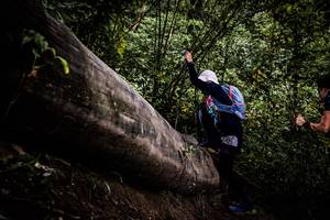 BIB: 
                            <button type="button" onclick="openModal(13525531)" class="btn btn-primary btn-sm float-right btn-popup" data-toggle="modal" data-target=".modal-high-quality">
                        <i class="fas fa-shopping-cart"></i> Add to Cart
                    </button>
                                            <button type="button" onclick="isThisMe(13525531, true)" class="btn btn-success btn-sm float-right btn-popup btn-isme hidden" data-toggle="tooltip" data-placement="bottom" title="นี่คือรูปของคุณใช่ไหม คลิกที่นี่เพื่อเอาเข้าอัลบั้ม">
                        <i class="fas fa-plus"></i> Add to album
                    </button>
                    <button type="button" onclick="isThisMe(13525531, false)" class="btn btn-warning btn-sm float-right btn-popup btn-isnotme hidden">
                        <i class="fas fa-ban"></i> Remove from album
                    </button>