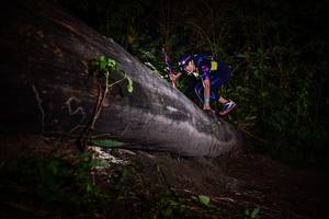 BIB: 
                            <button type="button" onclick="openModal(13518937)" class="btn btn-primary btn-sm float-right btn-popup" data-toggle="modal" data-target=".modal-high-quality">
                        <i class="fas fa-shopping-cart"></i> Add to Cart
                    </button>
                                            <button type="button" onclick="isThisMe(13518937, true)" class="btn btn-success btn-sm float-right btn-popup btn-isme hidden" data-toggle="tooltip" data-placement="bottom" title="นี่คือรูปของคุณใช่ไหม คลิกที่นี่เพื่อเอาเข้าอัลบั้ม">
                        <i class="fas fa-plus"></i> Add to album
                    </button>
                    <button type="button" onclick="isThisMe(13518937, false)" class="btn btn-warning btn-sm float-right btn-popup btn-isnotme hidden">
                        <i class="fas fa-ban"></i> Remove from album
                    </button>