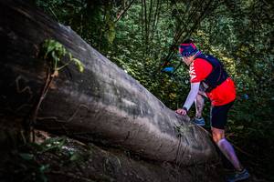 BIB: 
                            <button type="button" onclick="openModal(13519619)" class="btn btn-primary btn-sm float-right btn-popup" data-toggle="modal" data-target=".modal-high-quality">
                        <i class="fas fa-shopping-cart"></i> Add to Cart
                    </button>
                                            <button type="button" onclick="isThisMe(13519619, true)" class="btn btn-success btn-sm float-right btn-popup btn-isme hidden" data-toggle="tooltip" data-placement="bottom" title="นี่คือรูปของคุณใช่ไหม คลิกที่นี่เพื่อเอาเข้าอัลบั้ม">
                        <i class="fas fa-plus"></i> Add to album
                    </button>
                    <button type="button" onclick="isThisMe(13519619, false)" class="btn btn-warning btn-sm float-right btn-popup btn-isnotme hidden">
                        <i class="fas fa-ban"></i> Remove from album
                    </button>