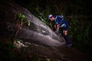 BIB: 
                            <button type="button" onclick="openModal(13519019)" class="btn btn-primary btn-sm float-right btn-popup" data-toggle="modal" data-target=".modal-high-quality">
                        <i class="fas fa-shopping-cart"></i> Add to Cart
                    </button>
                                            <button type="button" onclick="isThisMe(13519019, true)" class="btn btn-success btn-sm float-right btn-popup btn-isme hidden" data-toggle="tooltip" data-placement="bottom" title="นี่คือรูปของคุณใช่ไหม คลิกที่นี่เพื่อเอาเข้าอัลบั้ม">
                        <i class="fas fa-plus"></i> Add to album
                    </button>
                    <button type="button" onclick="isThisMe(13519019, false)" class="btn btn-warning btn-sm float-right btn-popup btn-isnotme hidden">
                        <i class="fas fa-ban"></i> Remove from album
                    </button>