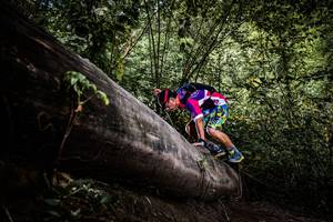 BIB: 
                            <button type="button" onclick="openModal(13523269)" class="btn btn-primary btn-sm float-right btn-popup" data-toggle="modal" data-target=".modal-high-quality">
                        <i class="fas fa-shopping-cart"></i> Add to Cart
                    </button>
                                            <button type="button" onclick="isThisMe(13523269, true)" class="btn btn-success btn-sm float-right btn-popup btn-isme hidden" data-toggle="tooltip" data-placement="bottom" title="นี่คือรูปของคุณใช่ไหม คลิกที่นี่เพื่อเอาเข้าอัลบั้ม">
                        <i class="fas fa-plus"></i> Add to album
                    </button>
                    <button type="button" onclick="isThisMe(13523269, false)" class="btn btn-warning btn-sm float-right btn-popup btn-isnotme hidden">
                        <i class="fas fa-ban"></i> Remove from album
                    </button>