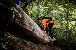 BIB: 
                            <button type="button" onclick="openModal(13525888)" class="btn btn-primary btn-sm float-right btn-popup" data-toggle="modal" data-target=".modal-high-quality">
                        <i class="fas fa-shopping-cart"></i> Add to Cart
                    </button>
                                            <button type="button" onclick="isThisMe(13525888, true)" class="btn btn-success btn-sm float-right btn-popup btn-isme hidden" data-toggle="tooltip" data-placement="bottom" title="นี่คือรูปของคุณใช่ไหม คลิกที่นี่เพื่อเอาเข้าอัลบั้ม">
                        <i class="fas fa-plus"></i> Add to album
                    </button>
                    <button type="button" onclick="isThisMe(13525888, false)" class="btn btn-warning btn-sm float-right btn-popup btn-isnotme hidden">
                        <i class="fas fa-ban"></i> Remove from album
                    </button>