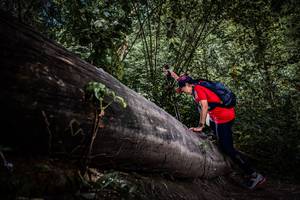 BIB: 
                            <button type="button" onclick="openModal(13522718)" class="btn btn-primary btn-sm float-right btn-popup" data-toggle="modal" data-target=".modal-high-quality">
                        <i class="fas fa-shopping-cart"></i> Add to Cart
                    </button>
                                            <button type="button" onclick="isThisMe(13522718, true)" class="btn btn-success btn-sm float-right btn-popup btn-isme hidden" data-toggle="tooltip" data-placement="bottom" title="นี่คือรูปของคุณใช่ไหม คลิกที่นี่เพื่อเอาเข้าอัลบั้ม">
                        <i class="fas fa-plus"></i> Add to album
                    </button>
                    <button type="button" onclick="isThisMe(13522718, false)" class="btn btn-warning btn-sm float-right btn-popup btn-isnotme hidden">
                        <i class="fas fa-ban"></i> Remove from album
                    </button>