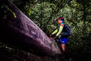 BIB: 
                            <button type="button" onclick="openModal(13525280)" class="btn btn-primary btn-sm float-right btn-popup" data-toggle="modal" data-target=".modal-high-quality">
                        <i class="fas fa-shopping-cart"></i> Add to Cart
                    </button>
                                            <button type="button" onclick="isThisMe(13525280, true)" class="btn btn-success btn-sm float-right btn-popup btn-isme hidden" data-toggle="tooltip" data-placement="bottom" title="นี่คือรูปของคุณใช่ไหม คลิกที่นี่เพื่อเอาเข้าอัลบั้ม">
                        <i class="fas fa-plus"></i> Add to album
                    </button>
                    <button type="button" onclick="isThisMe(13525280, false)" class="btn btn-warning btn-sm float-right btn-popup btn-isnotme hidden">
                        <i class="fas fa-ban"></i> Remove from album
                    </button>