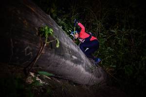 BIB: 
                            <button type="button" onclick="openModal(13518223)" class="btn btn-primary btn-sm float-right btn-popup" data-toggle="modal" data-target=".modal-high-quality">
                        <i class="fas fa-shopping-cart"></i> Add to Cart
                    </button>
                                            <button type="button" onclick="isThisMe(13518223, true)" class="btn btn-success btn-sm float-right btn-popup btn-isme hidden" data-toggle="tooltip" data-placement="bottom" title="นี่คือรูปของคุณใช่ไหม คลิกที่นี่เพื่อเอาเข้าอัลบั้ม">
                        <i class="fas fa-plus"></i> Add to album
                    </button>
                    <button type="button" onclick="isThisMe(13518223, false)" class="btn btn-warning btn-sm float-right btn-popup btn-isnotme hidden">
                        <i class="fas fa-ban"></i> Remove from album
                    </button>