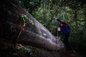 BIB: 
                            <button type="button" onclick="openModal(13519683)" class="btn btn-primary btn-sm float-right btn-popup" data-toggle="modal" data-target=".modal-high-quality">
                        <i class="fas fa-shopping-cart"></i> Add to Cart
                    </button>
                                            <button type="button" onclick="isThisMe(13519683, true)" class="btn btn-success btn-sm float-right btn-popup btn-isme hidden" data-toggle="tooltip" data-placement="bottom" title="นี่คือรูปของคุณใช่ไหม คลิกที่นี่เพื่อเอาเข้าอัลบั้ม">
                        <i class="fas fa-plus"></i> Add to album
                    </button>
                    <button type="button" onclick="isThisMe(13519683, false)" class="btn btn-warning btn-sm float-right btn-popup btn-isnotme hidden">
                        <i class="fas fa-ban"></i> Remove from album
                    </button>