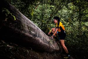 BIB: 
                            <button type="button" onclick="openModal(13525656)" class="btn btn-primary btn-sm float-right btn-popup" data-toggle="modal" data-target=".modal-high-quality">
                        <i class="fas fa-shopping-cart"></i> Add to Cart
                    </button>
                                            <button type="button" onclick="isThisMe(13525656, true)" class="btn btn-success btn-sm float-right btn-popup btn-isme hidden" data-toggle="tooltip" data-placement="bottom" title="นี่คือรูปของคุณใช่ไหม คลิกที่นี่เพื่อเอาเข้าอัลบั้ม">
                        <i class="fas fa-plus"></i> Add to album
                    </button>
                    <button type="button" onclick="isThisMe(13525656, false)" class="btn btn-warning btn-sm float-right btn-popup btn-isnotme hidden">
                        <i class="fas fa-ban"></i> Remove from album
                    </button>