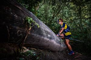 BIB: 
                            <button type="button" onclick="openModal(13519695)" class="btn btn-primary btn-sm float-right btn-popup" data-toggle="modal" data-target=".modal-high-quality">
                        <i class="fas fa-shopping-cart"></i> Add to Cart
                    </button>
                                            <button type="button" onclick="isThisMe(13519695, true)" class="btn btn-success btn-sm float-right btn-popup btn-isme hidden" data-toggle="tooltip" data-placement="bottom" title="นี่คือรูปของคุณใช่ไหม คลิกที่นี่เพื่อเอาเข้าอัลบั้ม">
                        <i class="fas fa-plus"></i> Add to album
                    </button>
                    <button type="button" onclick="isThisMe(13519695, false)" class="btn btn-warning btn-sm float-right btn-popup btn-isnotme hidden">
                        <i class="fas fa-ban"></i> Remove from album
                    </button>