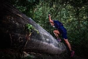 BIB: 
                            <button type="button" onclick="openModal(13519482)" class="btn btn-primary btn-sm float-right btn-popup" data-toggle="modal" data-target=".modal-high-quality">
                        <i class="fas fa-shopping-cart"></i> Add to Cart
                    </button>
                                            <button type="button" onclick="isThisMe(13519482, true)" class="btn btn-success btn-sm float-right btn-popup btn-isme hidden" data-toggle="tooltip" data-placement="bottom" title="นี่คือรูปของคุณใช่ไหม คลิกที่นี่เพื่อเอาเข้าอัลบั้ม">
                        <i class="fas fa-plus"></i> Add to album
                    </button>
                    <button type="button" onclick="isThisMe(13519482, false)" class="btn btn-warning btn-sm float-right btn-popup btn-isnotme hidden">
                        <i class="fas fa-ban"></i> Remove from album
                    </button>