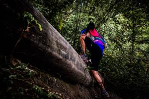 BIB: 
                            <button type="button" onclick="openModal(13525301)" class="btn btn-primary btn-sm float-right btn-popup" data-toggle="modal" data-target=".modal-high-quality">
                        <i class="fas fa-shopping-cart"></i> Add to Cart
                    </button>
                                            <button type="button" onclick="isThisMe(13525301, true)" class="btn btn-success btn-sm float-right btn-popup btn-isme hidden" data-toggle="tooltip" data-placement="bottom" title="นี่คือรูปของคุณใช่ไหม คลิกที่นี่เพื่อเอาเข้าอัลบั้ม">
                        <i class="fas fa-plus"></i> Add to album
                    </button>
                    <button type="button" onclick="isThisMe(13525301, false)" class="btn btn-warning btn-sm float-right btn-popup btn-isnotme hidden">
                        <i class="fas fa-ban"></i> Remove from album
                    </button>