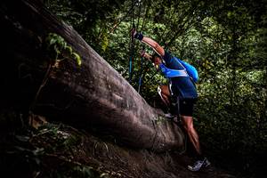 BIB: 
                            <button type="button" onclick="openModal(13525399)" class="btn btn-primary btn-sm float-right btn-popup" data-toggle="modal" data-target=".modal-high-quality">
                        <i class="fas fa-shopping-cart"></i> Add to Cart
                    </button>
                                            <button type="button" onclick="isThisMe(13525399, true)" class="btn btn-success btn-sm float-right btn-popup btn-isme hidden" data-toggle="tooltip" data-placement="bottom" title="นี่คือรูปของคุณใช่ไหม คลิกที่นี่เพื่อเอาเข้าอัลบั้ม">
                        <i class="fas fa-plus"></i> Add to album
                    </button>
                    <button type="button" onclick="isThisMe(13525399, false)" class="btn btn-warning btn-sm float-right btn-popup btn-isnotme hidden">
                        <i class="fas fa-ban"></i> Remove from album
                    </button>