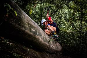 BIB: 
                            <button type="button" onclick="openModal(13525279)" class="btn btn-primary btn-sm float-right btn-popup" data-toggle="modal" data-target=".modal-high-quality">
                        <i class="fas fa-shopping-cart"></i> Add to Cart
                    </button>
                                            <button type="button" onclick="isThisMe(13525279, true)" class="btn btn-success btn-sm float-right btn-popup btn-isme hidden" data-toggle="tooltip" data-placement="bottom" title="นี่คือรูปของคุณใช่ไหม คลิกที่นี่เพื่อเอาเข้าอัลบั้ม">
                        <i class="fas fa-plus"></i> Add to album
                    </button>
                    <button type="button" onclick="isThisMe(13525279, false)" class="btn btn-warning btn-sm float-right btn-popup btn-isnotme hidden">
                        <i class="fas fa-ban"></i> Remove from album
                    </button>