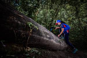 BIB: 
                            <button type="button" onclick="openModal(13522726)" class="btn btn-primary btn-sm float-right btn-popup" data-toggle="modal" data-target=".modal-high-quality">
                        <i class="fas fa-shopping-cart"></i> Add to Cart
                    </button>
                                            <button type="button" onclick="isThisMe(13522726, true)" class="btn btn-success btn-sm float-right btn-popup btn-isme hidden" data-toggle="tooltip" data-placement="bottom" title="นี่คือรูปของคุณใช่ไหม คลิกที่นี่เพื่อเอาเข้าอัลบั้ม">
                        <i class="fas fa-plus"></i> Add to album
                    </button>
                    <button type="button" onclick="isThisMe(13522726, false)" class="btn btn-warning btn-sm float-right btn-popup btn-isnotme hidden">
                        <i class="fas fa-ban"></i> Remove from album
                    </button>