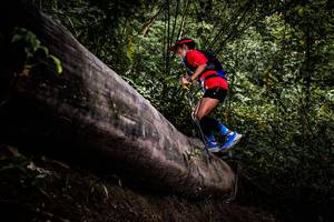 BIB: 
                            <button type="button" onclick="openModal(13525605)" class="btn btn-primary btn-sm float-right btn-popup" data-toggle="modal" data-target=".modal-high-quality">
                        <i class="fas fa-shopping-cart"></i> Add to Cart
                    </button>
                                            <button type="button" onclick="isThisMe(13525605, true)" class="btn btn-success btn-sm float-right btn-popup btn-isme hidden" data-toggle="tooltip" data-placement="bottom" title="นี่คือรูปของคุณใช่ไหม คลิกที่นี่เพื่อเอาเข้าอัลบั้ม">
                        <i class="fas fa-plus"></i> Add to album
                    </button>
                    <button type="button" onclick="isThisMe(13525605, false)" class="btn btn-warning btn-sm float-right btn-popup btn-isnotme hidden">
                        <i class="fas fa-ban"></i> Remove from album
                    </button>