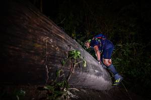 BIB: 
                            <button type="button" onclick="openModal(13517611)" class="btn btn-primary btn-sm float-right btn-popup" data-toggle="modal" data-target=".modal-high-quality">
                        <i class="fas fa-shopping-cart"></i> Add to Cart
                    </button>
                                            <button type="button" onclick="isThisMe(13517611, true)" class="btn btn-success btn-sm float-right btn-popup btn-isme hidden" data-toggle="tooltip" data-placement="bottom" title="นี่คือรูปของคุณใช่ไหม คลิกที่นี่เพื่อเอาเข้าอัลบั้ม">
                        <i class="fas fa-plus"></i> Add to album
                    </button>
                    <button type="button" onclick="isThisMe(13517611, false)" class="btn btn-warning btn-sm float-right btn-popup btn-isnotme hidden">
                        <i class="fas fa-ban"></i> Remove from album
                    </button>