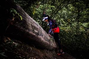 BIB: 
                            <button type="button" onclick="openModal(13525474)" class="btn btn-primary btn-sm float-right btn-popup" data-toggle="modal" data-target=".modal-high-quality">
                        <i class="fas fa-shopping-cart"></i> Add to Cart
                    </button>
                                            <button type="button" onclick="isThisMe(13525474, true)" class="btn btn-success btn-sm float-right btn-popup btn-isme hidden" data-toggle="tooltip" data-placement="bottom" title="นี่คือรูปของคุณใช่ไหม คลิกที่นี่เพื่อเอาเข้าอัลบั้ม">
                        <i class="fas fa-plus"></i> Add to album
                    </button>
                    <button type="button" onclick="isThisMe(13525474, false)" class="btn btn-warning btn-sm float-right btn-popup btn-isnotme hidden">
                        <i class="fas fa-ban"></i> Remove from album
                    </button>