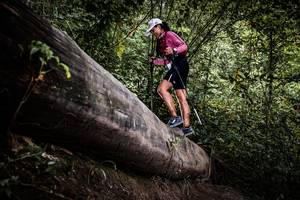 BIB: 
                            <button type="button" onclick="openModal(13524166)" class="btn btn-primary btn-sm float-right btn-popup" data-toggle="modal" data-target=".modal-high-quality">
                        <i class="fas fa-shopping-cart"></i> Add to Cart
                    </button>
                                            <button type="button" onclick="isThisMe(13524166, true)" class="btn btn-success btn-sm float-right btn-popup btn-isme hidden" data-toggle="tooltip" data-placement="bottom" title="นี่คือรูปของคุณใช่ไหม คลิกที่นี่เพื่อเอาเข้าอัลบั้ม">
                        <i class="fas fa-plus"></i> Add to album
                    </button>
                    <button type="button" onclick="isThisMe(13524166, false)" class="btn btn-warning btn-sm float-right btn-popup btn-isnotme hidden">
                        <i class="fas fa-ban"></i> Remove from album
                    </button>