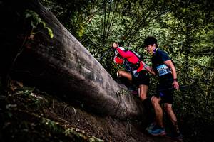 BIB: 
                            <button type="button" onclick="openModal(13525345)" class="btn btn-primary btn-sm float-right btn-popup" data-toggle="modal" data-target=".modal-high-quality">
                        <i class="fas fa-shopping-cart"></i> Add to Cart
                    </button>
                                            <button type="button" onclick="isThisMe(13525345, true)" class="btn btn-success btn-sm float-right btn-popup btn-isme hidden" data-toggle="tooltip" data-placement="bottom" title="นี่คือรูปของคุณใช่ไหม คลิกที่นี่เพื่อเอาเข้าอัลบั้ม">
                        <i class="fas fa-plus"></i> Add to album
                    </button>
                    <button type="button" onclick="isThisMe(13525345, false)" class="btn btn-warning btn-sm float-right btn-popup btn-isnotme hidden">
                        <i class="fas fa-ban"></i> Remove from album
                    </button>