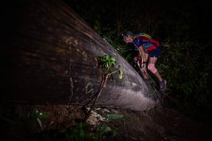 BIB: 
                            <button type="button" onclick="openModal(13517835)" class="btn btn-primary btn-sm float-right btn-popup" data-toggle="modal" data-target=".modal-high-quality">
                        <i class="fas fa-shopping-cart"></i> Add to Cart
                    </button>
                                            <button type="button" onclick="isThisMe(13517835, true)" class="btn btn-success btn-sm float-right btn-popup btn-isme hidden" data-toggle="tooltip" data-placement="bottom" title="นี่คือรูปของคุณใช่ไหม คลิกที่นี่เพื่อเอาเข้าอัลบั้ม">
                        <i class="fas fa-plus"></i> Add to album
                    </button>
                    <button type="button" onclick="isThisMe(13517835, false)" class="btn btn-warning btn-sm float-right btn-popup btn-isnotme hidden">
                        <i class="fas fa-ban"></i> Remove from album
                    </button>