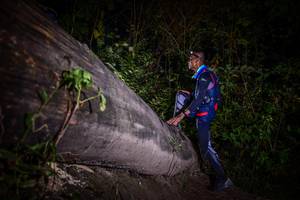 BIB: 
                            <button type="button" onclick="openModal(13517554)" class="btn btn-primary btn-sm float-right btn-popup" data-toggle="modal" data-target=".modal-high-quality">
                        <i class="fas fa-shopping-cart"></i> Add to Cart
                    </button>
                                            <button type="button" onclick="isThisMe(13517554, true)" class="btn btn-success btn-sm float-right btn-popup btn-isme hidden" data-toggle="tooltip" data-placement="bottom" title="นี่คือรูปของคุณใช่ไหม คลิกที่นี่เพื่อเอาเข้าอัลบั้ม">
                        <i class="fas fa-plus"></i> Add to album
                    </button>
                    <button type="button" onclick="isThisMe(13517554, false)" class="btn btn-warning btn-sm float-right btn-popup btn-isnotme hidden">
                        <i class="fas fa-ban"></i> Remove from album
                    </button>