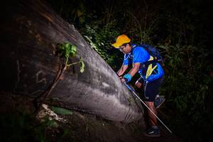 BIB: 
                            <button type="button" onclick="openModal(13518229)" class="btn btn-primary btn-sm float-right btn-popup" data-toggle="modal" data-target=".modal-high-quality">
                        <i class="fas fa-shopping-cart"></i> Add to Cart
                    </button>
                                            <button type="button" onclick="isThisMe(13518229, true)" class="btn btn-success btn-sm float-right btn-popup btn-isme hidden" data-toggle="tooltip" data-placement="bottom" title="นี่คือรูปของคุณใช่ไหม คลิกที่นี่เพื่อเอาเข้าอัลบั้ม">
                        <i class="fas fa-plus"></i> Add to album
                    </button>
                    <button type="button" onclick="isThisMe(13518229, false)" class="btn btn-warning btn-sm float-right btn-popup btn-isnotme hidden">
                        <i class="fas fa-ban"></i> Remove from album
                    </button>