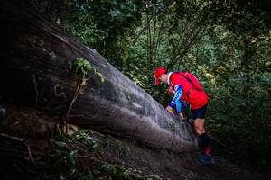 BIB: 
                            <button type="button" onclick="openModal(13519583)" class="btn btn-primary btn-sm float-right btn-popup" data-toggle="modal" data-target=".modal-high-quality">
                        <i class="fas fa-shopping-cart"></i> Add to Cart
                    </button>
                                            <button type="button" onclick="isThisMe(13519583, true)" class="btn btn-success btn-sm float-right btn-popup btn-isme hidden" data-toggle="tooltip" data-placement="bottom" title="นี่คือรูปของคุณใช่ไหม คลิกที่นี่เพื่อเอาเข้าอัลบั้ม">
                        <i class="fas fa-plus"></i> Add to album
                    </button>
                    <button type="button" onclick="isThisMe(13519583, false)" class="btn btn-warning btn-sm float-right btn-popup btn-isnotme hidden">
                        <i class="fas fa-ban"></i> Remove from album
                    </button>