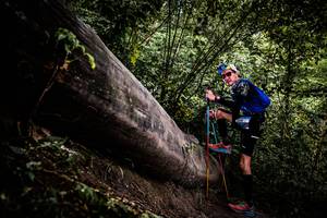 BIB: 
                            <button type="button" onclick="openModal(13525241)" class="btn btn-primary btn-sm float-right btn-popup" data-toggle="modal" data-target=".modal-high-quality">
                        <i class="fas fa-shopping-cart"></i> Add to Cart
                    </button>
                                            <button type="button" onclick="isThisMe(13525241, true)" class="btn btn-success btn-sm float-right btn-popup btn-isme hidden" data-toggle="tooltip" data-placement="bottom" title="นี่คือรูปของคุณใช่ไหม คลิกที่นี่เพื่อเอาเข้าอัลบั้ม">
                        <i class="fas fa-plus"></i> Add to album
                    </button>
                    <button type="button" onclick="isThisMe(13525241, false)" class="btn btn-warning btn-sm float-right btn-popup btn-isnotme hidden">
                        <i class="fas fa-ban"></i> Remove from album
                    </button>