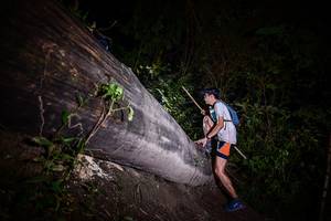 BIB: 
                            <button type="button" onclick="openModal(13517596)" class="btn btn-primary btn-sm float-right btn-popup" data-toggle="modal" data-target=".modal-high-quality">
                        <i class="fas fa-shopping-cart"></i> Add to Cart
                    </button>
                                            <button type="button" onclick="isThisMe(13517596, true)" class="btn btn-success btn-sm float-right btn-popup btn-isme hidden" data-toggle="tooltip" data-placement="bottom" title="นี่คือรูปของคุณใช่ไหม คลิกที่นี่เพื่อเอาเข้าอัลบั้ม">
                        <i class="fas fa-plus"></i> Add to album
                    </button>
                    <button type="button" onclick="isThisMe(13517596, false)" class="btn btn-warning btn-sm float-right btn-popup btn-isnotme hidden">
                        <i class="fas fa-ban"></i> Remove from album
                    </button>