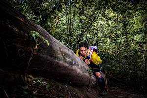 BIB: 
                            <button type="button" onclick="openModal(13523260)" class="btn btn-primary btn-sm float-right btn-popup" data-toggle="modal" data-target=".modal-high-quality">
                        <i class="fas fa-shopping-cart"></i> Add to Cart
                    </button>
                                            <button type="button" onclick="isThisMe(13523260, true)" class="btn btn-success btn-sm float-right btn-popup btn-isme hidden" data-toggle="tooltip" data-placement="bottom" title="นี่คือรูปของคุณใช่ไหม คลิกที่นี่เพื่อเอาเข้าอัลบั้ม">
                        <i class="fas fa-plus"></i> Add to album
                    </button>
                    <button type="button" onclick="isThisMe(13523260, false)" class="btn btn-warning btn-sm float-right btn-popup btn-isnotme hidden">
                        <i class="fas fa-ban"></i> Remove from album
                    </button>