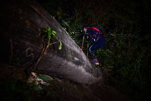 BIB: 
                            <button type="button" onclick="openModal(13518826)" class="btn btn-primary btn-sm float-right btn-popup" data-toggle="modal" data-target=".modal-high-quality">
                        <i class="fas fa-shopping-cart"></i> Add to Cart
                    </button>
                                            <button type="button" onclick="isThisMe(13518826, true)" class="btn btn-success btn-sm float-right btn-popup btn-isme hidden" data-toggle="tooltip" data-placement="bottom" title="นี่คือรูปของคุณใช่ไหม คลิกที่นี่เพื่อเอาเข้าอัลบั้ม">
                        <i class="fas fa-plus"></i> Add to album
                    </button>
                    <button type="button" onclick="isThisMe(13518826, false)" class="btn btn-warning btn-sm float-right btn-popup btn-isnotme hidden">
                        <i class="fas fa-ban"></i> Remove from album
                    </button>