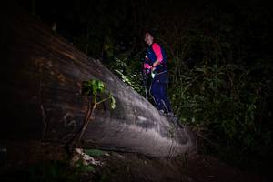 BIB: 
                            <button type="button" onclick="openModal(13517978)" class="btn btn-primary btn-sm float-right btn-popup" data-toggle="modal" data-target=".modal-high-quality">
                        <i class="fas fa-shopping-cart"></i> Add to Cart
                    </button>
                                            <button type="button" onclick="isThisMe(13517978, true)" class="btn btn-success btn-sm float-right btn-popup btn-isme hidden" data-toggle="tooltip" data-placement="bottom" title="นี่คือรูปของคุณใช่ไหม คลิกที่นี่เพื่อเอาเข้าอัลบั้ม">
                        <i class="fas fa-plus"></i> Add to album
                    </button>
                    <button type="button" onclick="isThisMe(13517978, false)" class="btn btn-warning btn-sm float-right btn-popup btn-isnotme hidden">
                        <i class="fas fa-ban"></i> Remove from album
                    </button>