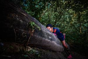 BIB: 
                            <button type="button" onclick="openModal(13519399)" class="btn btn-primary btn-sm float-right btn-popup" data-toggle="modal" data-target=".modal-high-quality">
                        <i class="fas fa-shopping-cart"></i> Add to Cart
                    </button>
                                            <button type="button" onclick="isThisMe(13519399, true)" class="btn btn-success btn-sm float-right btn-popup btn-isme hidden" data-toggle="tooltip" data-placement="bottom" title="นี่คือรูปของคุณใช่ไหม คลิกที่นี่เพื่อเอาเข้าอัลบั้ม">
                        <i class="fas fa-plus"></i> Add to album
                    </button>
                    <button type="button" onclick="isThisMe(13519399, false)" class="btn btn-warning btn-sm float-right btn-popup btn-isnotme hidden">
                        <i class="fas fa-ban"></i> Remove from album
                    </button>