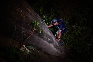 BIB: 
                            <button type="button" onclick="openModal(13518167)" class="btn btn-primary btn-sm float-right btn-popup" data-toggle="modal" data-target=".modal-high-quality">
                        <i class="fas fa-shopping-cart"></i> Add to Cart
                    </button>
                                            <button type="button" onclick="isThisMe(13518167, true)" class="btn btn-success btn-sm float-right btn-popup btn-isme hidden" data-toggle="tooltip" data-placement="bottom" title="นี่คือรูปของคุณใช่ไหม คลิกที่นี่เพื่อเอาเข้าอัลบั้ม">
                        <i class="fas fa-plus"></i> Add to album
                    </button>
                    <button type="button" onclick="isThisMe(13518167, false)" class="btn btn-warning btn-sm float-right btn-popup btn-isnotme hidden">
                        <i class="fas fa-ban"></i> Remove from album
                    </button>