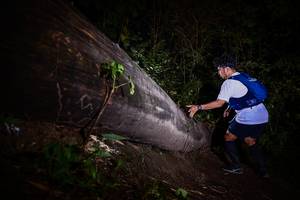 BIB: 
                            <button type="button" onclick="openModal(13518137)" class="btn btn-primary btn-sm float-right btn-popup" data-toggle="modal" data-target=".modal-high-quality">
                        <i class="fas fa-shopping-cart"></i> Add to Cart
                    </button>
                                            <button type="button" onclick="isThisMe(13518137, true)" class="btn btn-success btn-sm float-right btn-popup btn-isme hidden" data-toggle="tooltip" data-placement="bottom" title="นี่คือรูปของคุณใช่ไหม คลิกที่นี่เพื่อเอาเข้าอัลบั้ม">
                        <i class="fas fa-plus"></i> Add to album
                    </button>
                    <button type="button" onclick="isThisMe(13518137, false)" class="btn btn-warning btn-sm float-right btn-popup btn-isnotme hidden">
                        <i class="fas fa-ban"></i> Remove from album
                    </button>