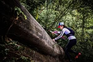 BIB: 
                            <button type="button" onclick="openModal(13523833)" class="btn btn-primary btn-sm float-right btn-popup" data-toggle="modal" data-target=".modal-high-quality">
                        <i class="fas fa-shopping-cart"></i> Add to Cart
                    </button>
                                            <button type="button" onclick="isThisMe(13523833, true)" class="btn btn-success btn-sm float-right btn-popup btn-isme hidden" data-toggle="tooltip" data-placement="bottom" title="นี่คือรูปของคุณใช่ไหม คลิกที่นี่เพื่อเอาเข้าอัลบั้ม">
                        <i class="fas fa-plus"></i> Add to album
                    </button>
                    <button type="button" onclick="isThisMe(13523833, false)" class="btn btn-warning btn-sm float-right btn-popup btn-isnotme hidden">
                        <i class="fas fa-ban"></i> Remove from album
                    </button>