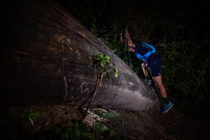 BIB: 
                            <button type="button" onclick="openModal(13517840)" class="btn btn-primary btn-sm float-right btn-popup" data-toggle="modal" data-target=".modal-high-quality">
                        <i class="fas fa-shopping-cart"></i> Add to Cart
                    </button>
                                            <button type="button" onclick="isThisMe(13517840, true)" class="btn btn-success btn-sm float-right btn-popup btn-isme hidden" data-toggle="tooltip" data-placement="bottom" title="นี่คือรูปของคุณใช่ไหม คลิกที่นี่เพื่อเอาเข้าอัลบั้ม">
                        <i class="fas fa-plus"></i> Add to album
                    </button>
                    <button type="button" onclick="isThisMe(13517840, false)" class="btn btn-warning btn-sm float-right btn-popup btn-isnotme hidden">
                        <i class="fas fa-ban"></i> Remove from album
                    </button>