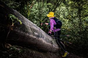 BIB: 
                            <button type="button" onclick="openModal(13522965)" class="btn btn-primary btn-sm float-right btn-popup" data-toggle="modal" data-target=".modal-high-quality">
                        <i class="fas fa-shopping-cart"></i> Add to Cart
                    </button>
                                            <button type="button" onclick="isThisMe(13522965, true)" class="btn btn-success btn-sm float-right btn-popup btn-isme hidden" data-toggle="tooltip" data-placement="bottom" title="นี่คือรูปของคุณใช่ไหม คลิกที่นี่เพื่อเอาเข้าอัลบั้ม">
                        <i class="fas fa-plus"></i> Add to album
                    </button>
                    <button type="button" onclick="isThisMe(13522965, false)" class="btn btn-warning btn-sm float-right btn-popup btn-isnotme hidden">
                        <i class="fas fa-ban"></i> Remove from album
                    </button>