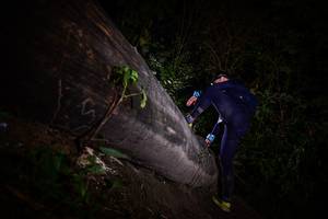 BIB: 
                            <button type="button" onclick="openModal(13518170)" class="btn btn-primary btn-sm float-right btn-popup" data-toggle="modal" data-target=".modal-high-quality">
                        <i class="fas fa-shopping-cart"></i> Add to Cart
                    </button>
                                            <button type="button" onclick="isThisMe(13518170, true)" class="btn btn-success btn-sm float-right btn-popup btn-isme hidden" data-toggle="tooltip" data-placement="bottom" title="นี่คือรูปของคุณใช่ไหม คลิกที่นี่เพื่อเอาเข้าอัลบั้ม">
                        <i class="fas fa-plus"></i> Add to album
                    </button>
                    <button type="button" onclick="isThisMe(13518170, false)" class="btn btn-warning btn-sm float-right btn-popup btn-isnotme hidden">
                        <i class="fas fa-ban"></i> Remove from album
                    </button>