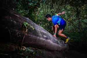 BIB: 
                            <button type="button" onclick="openModal(13519525)" class="btn btn-primary btn-sm float-right btn-popup" data-toggle="modal" data-target=".modal-high-quality">
                        <i class="fas fa-shopping-cart"></i> Add to Cart
                    </button>
                                            <button type="button" onclick="isThisMe(13519525, true)" class="btn btn-success btn-sm float-right btn-popup btn-isme hidden" data-toggle="tooltip" data-placement="bottom" title="นี่คือรูปของคุณใช่ไหม คลิกที่นี่เพื่อเอาเข้าอัลบั้ม">
                        <i class="fas fa-plus"></i> Add to album
                    </button>
                    <button type="button" onclick="isThisMe(13519525, false)" class="btn btn-warning btn-sm float-right btn-popup btn-isnotme hidden">
                        <i class="fas fa-ban"></i> Remove from album
                    </button>