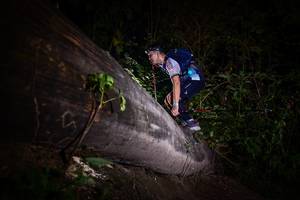 BIB: 
                            <button type="button" onclick="openModal(13517988)" class="btn btn-primary btn-sm float-right btn-popup" data-toggle="modal" data-target=".modal-high-quality">
                        <i class="fas fa-shopping-cart"></i> Add to Cart
                    </button>
                                            <button type="button" onclick="isThisMe(13517988, true)" class="btn btn-success btn-sm float-right btn-popup btn-isme hidden" data-toggle="tooltip" data-placement="bottom" title="นี่คือรูปของคุณใช่ไหม คลิกที่นี่เพื่อเอาเข้าอัลบั้ม">
                        <i class="fas fa-plus"></i> Add to album
                    </button>
                    <button type="button" onclick="isThisMe(13517988, false)" class="btn btn-warning btn-sm float-right btn-popup btn-isnotme hidden">
                        <i class="fas fa-ban"></i> Remove from album
                    </button>