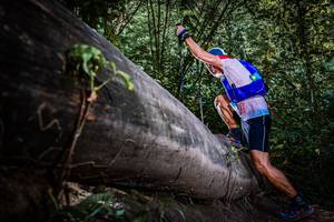 BIB: 
                            <button type="button" onclick="openModal(13519731)" class="btn btn-primary btn-sm float-right btn-popup" data-toggle="modal" data-target=".modal-high-quality">
                        <i class="fas fa-shopping-cart"></i> Add to Cart
                    </button>
                                            <button type="button" onclick="isThisMe(13519731, true)" class="btn btn-success btn-sm float-right btn-popup btn-isme hidden" data-toggle="tooltip" data-placement="bottom" title="นี่คือรูปของคุณใช่ไหม คลิกที่นี่เพื่อเอาเข้าอัลบั้ม">
                        <i class="fas fa-plus"></i> Add to album
                    </button>
                    <button type="button" onclick="isThisMe(13519731, false)" class="btn btn-warning btn-sm float-right btn-popup btn-isnotme hidden">
                        <i class="fas fa-ban"></i> Remove from album
                    </button>