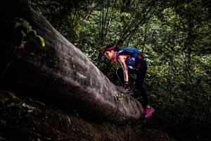 BIB: 
                            <button type="button" onclick="openModal(13525536)" class="btn btn-primary btn-sm float-right btn-popup" data-toggle="modal" data-target=".modal-high-quality">
                        <i class="fas fa-shopping-cart"></i> Add to Cart
                    </button>
                                            <button type="button" onclick="isThisMe(13525536, true)" class="btn btn-success btn-sm float-right btn-popup btn-isme hidden" data-toggle="tooltip" data-placement="bottom" title="นี่คือรูปของคุณใช่ไหม คลิกที่นี่เพื่อเอาเข้าอัลบั้ม">
                        <i class="fas fa-plus"></i> Add to album
                    </button>
                    <button type="button" onclick="isThisMe(13525536, false)" class="btn btn-warning btn-sm float-right btn-popup btn-isnotme hidden">
                        <i class="fas fa-ban"></i> Remove from album
                    </button>